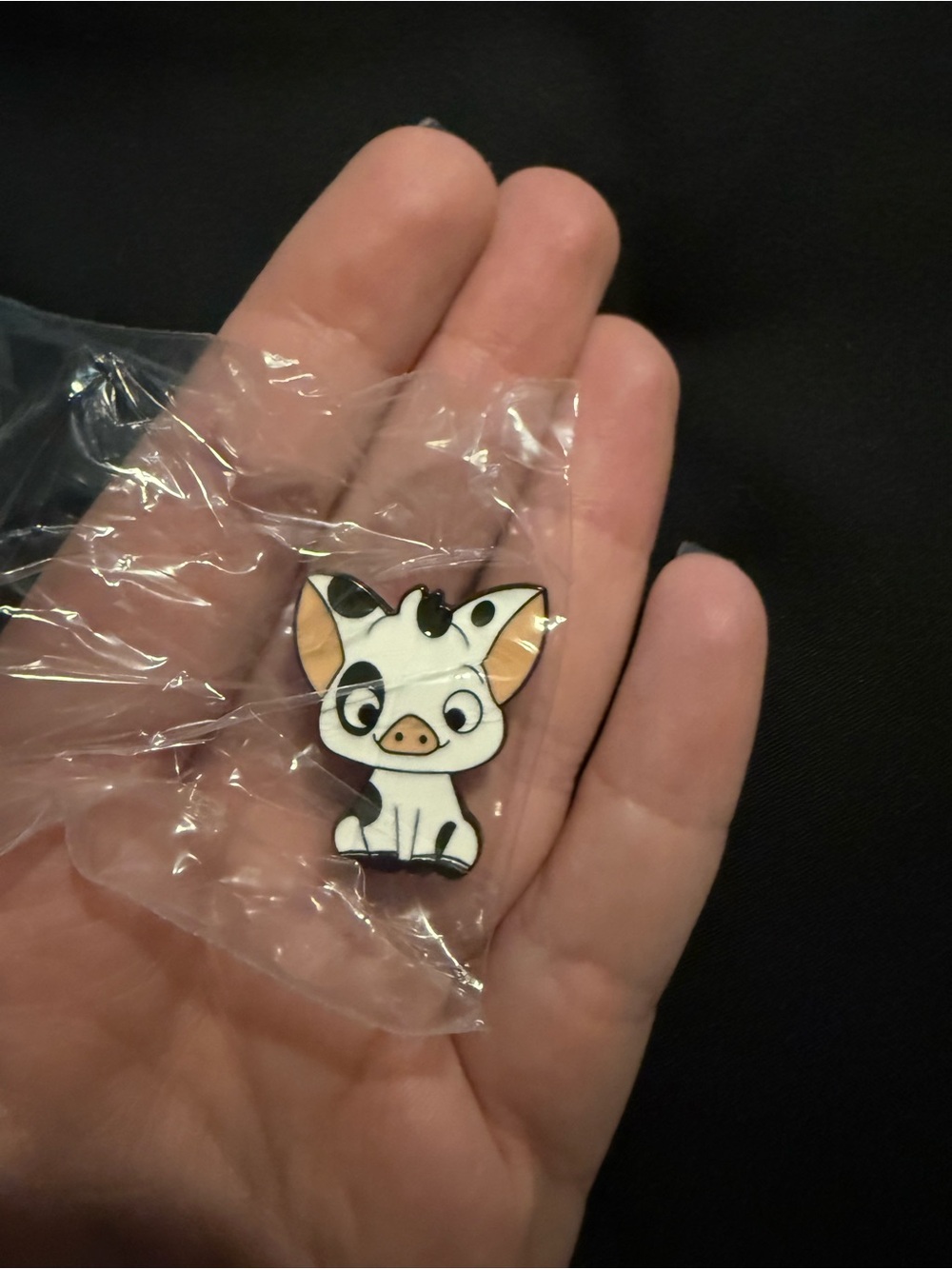 🌟Bundle Sale Pua Pin